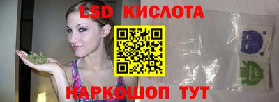 гашик Камышлов