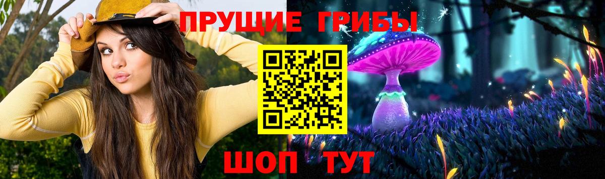 Армавир  Псилоцибиновые грибы GOLDEN TEACHER  Вход с VPN  Псилоцибиновые грибы прущие грибы 